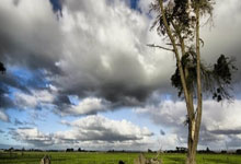 琛球体育比分靠谱吗？怎么用它看赛事数据？