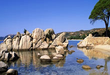 布鲁日为什么被称为北方威尼斯？它有哪些独特魅力？